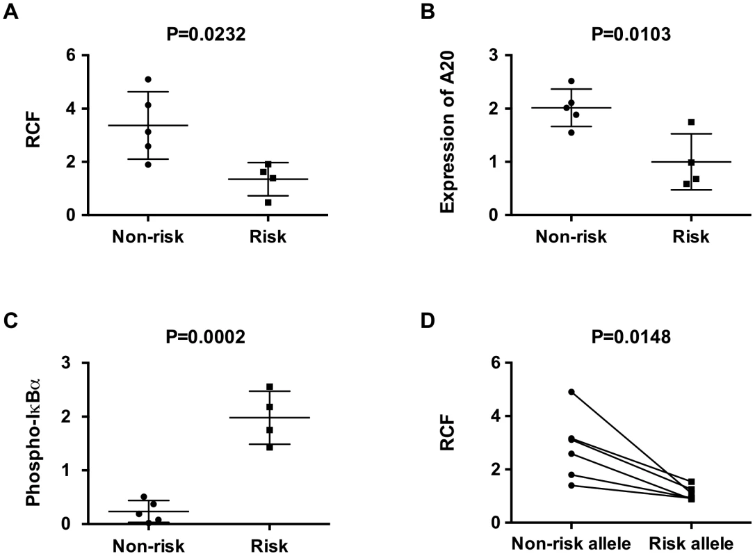 The TT>A risk variant exhibits reduced enhancer-promoter interaction frequencies and lower expression of <i>TNFAIP3</i>.