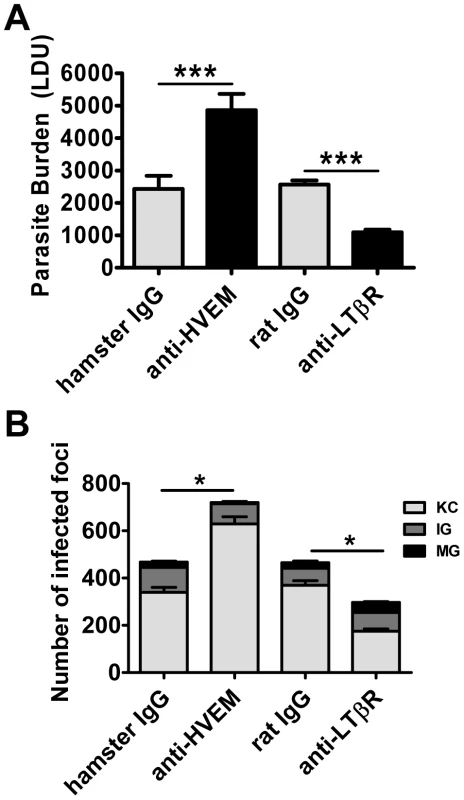 Distinct effects of blocking LIGHT-HVEM and LIGHT-LTβR interactions on parasite growth in the liver.