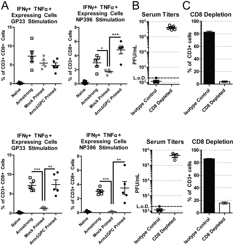 CD8+ T cells are necessary for Arm primed mediated clearance.