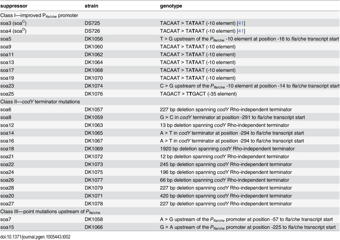 Suppressor of <i>swrA</i> (<i>soa</i>) alleles.