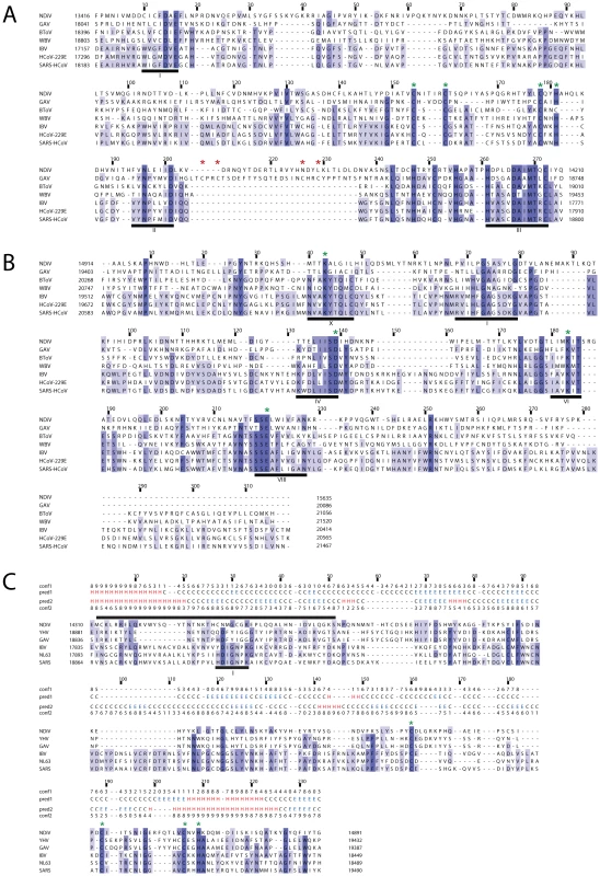 Alignments of ExoN, OMT and NMT domains of NDiV and other nidoviruses.