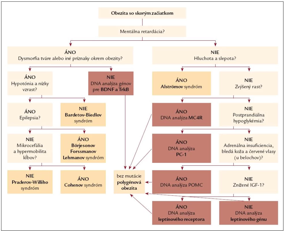 Diferenciálno-diagnostický postup pri obezite so skorým začiatkom.
