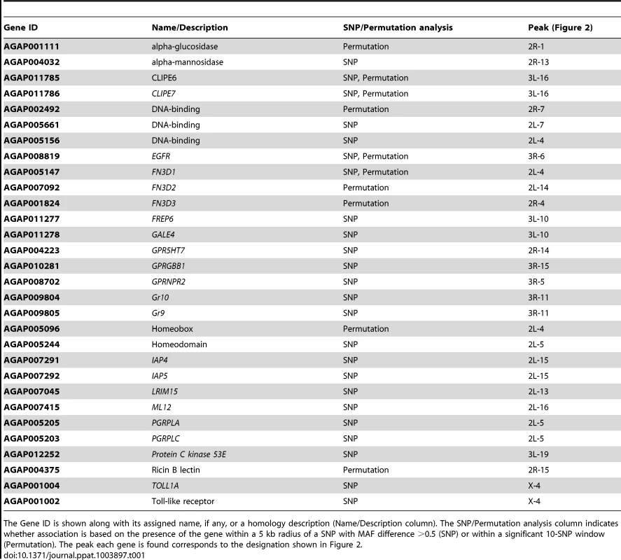 Genes of interest associated with the <i>S. marcescens</i> infection phenotype.