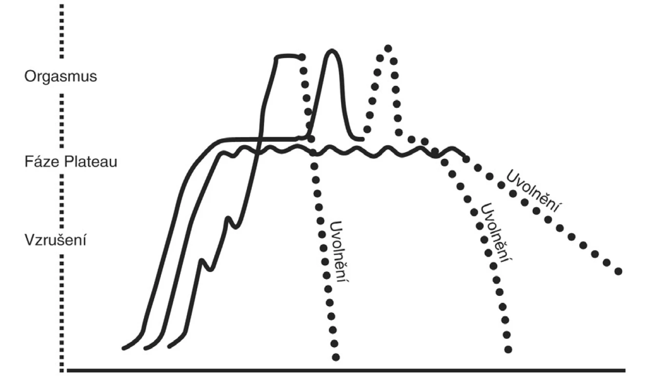 Model ženských sexuálních reakcí 1.
Zdroj: Masters, WH., Johnson, V. Human Sexual Response. Boston: Little, Brown &amp; Co., 1966