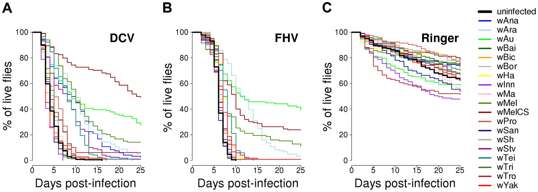 Survival of flies carrying different <i>Wolbachia</i> strains or being <i>Wolbachia</i>-free.
