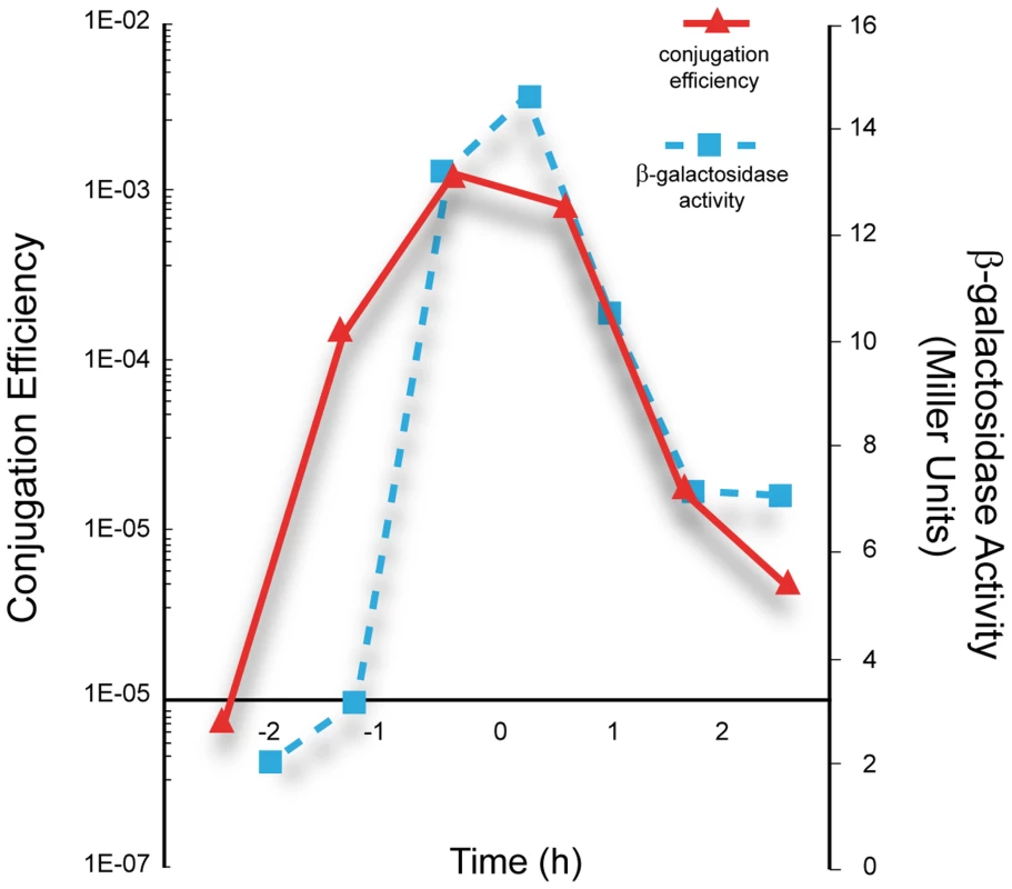 Correlation between the kinetics of <i>P<sub>c</sub></i> promoter activity and conjugation efficiencies of pLS20cat.