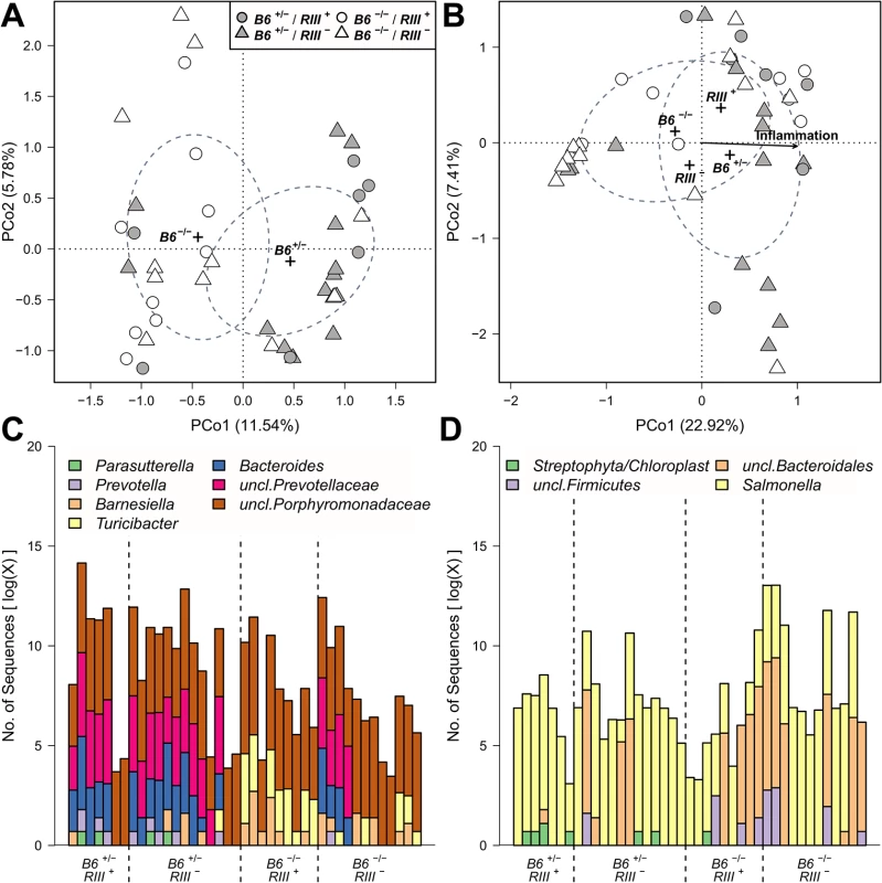 Treatment wise Principle Coordinate Analysis (unweighted UniFrac) of untreated- and <i>S</i>. Typhimurium inoculated mice and distribution of indicator bacteria among mice.