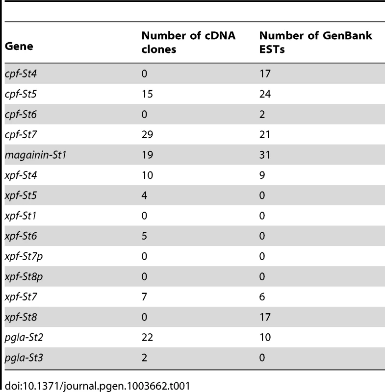 Transcript abundance of <i>S. tropicalis</i> AMP genes in our cDNA library and in the EST division of GenBank.