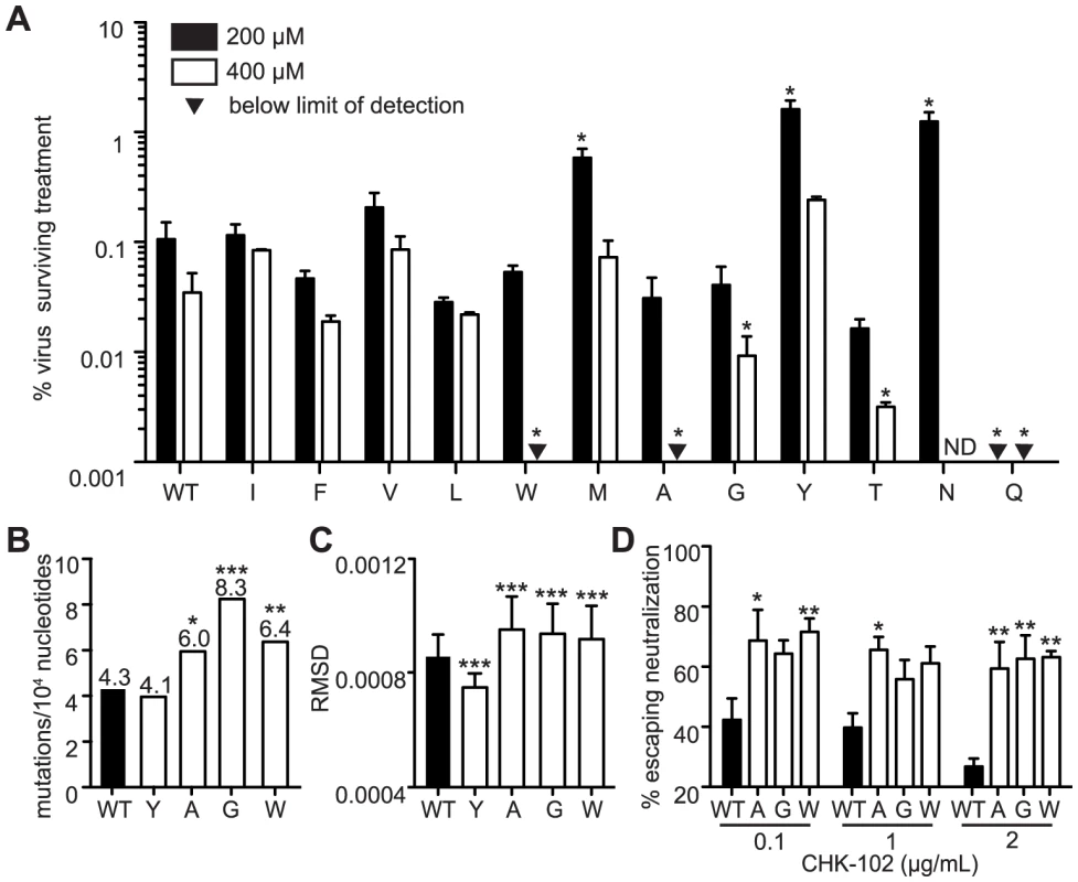 Mutagenizing position 483 variants allows isolation of mutator variants.