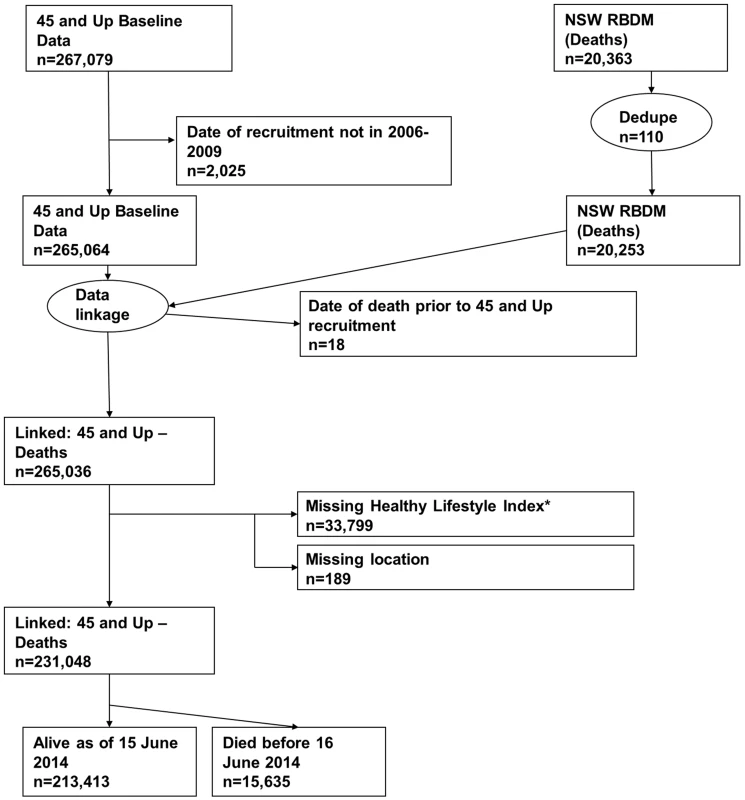 Participant flow diagram.