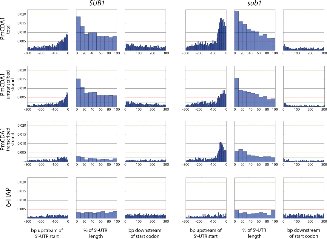 The deletion of <i>SUB1</i> leads to a redistribution of mutation densities toward 5’-UTRs and pre-5’-UTR regions in a strand-specific manner.