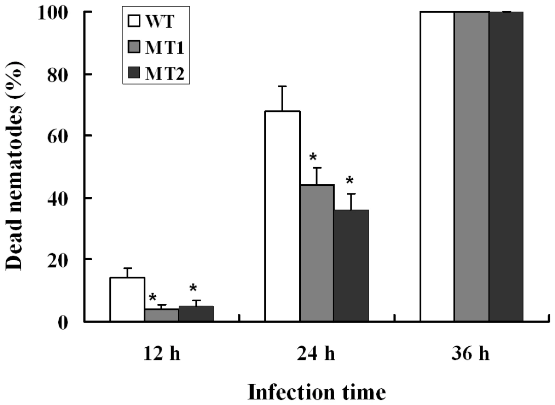 Disruption of the gene <i>p186</i> and nematocidal activity analysis.