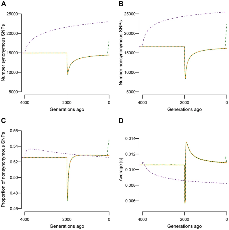 Changes in genetic variation over time as a function of population size.