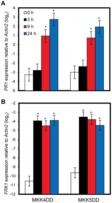 Sustained MAPK activation is sufficient for <i>PR1</i> induction.