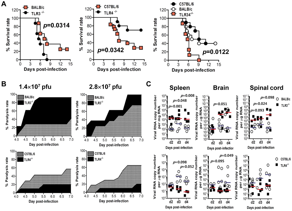 Contrasting regulation of JE by triggering TLR3 and TLR4 signal pathway.