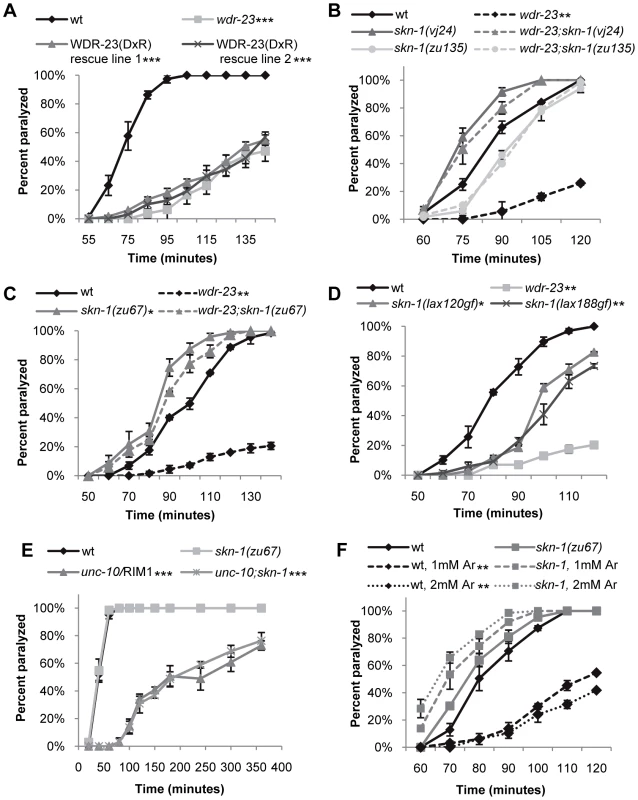 Loss of <i>skn-1</i> suppresses the aldicarb resistance of <i>wdr-23</i> mutants.