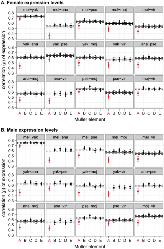 Faster-X evolution of gene expression.
