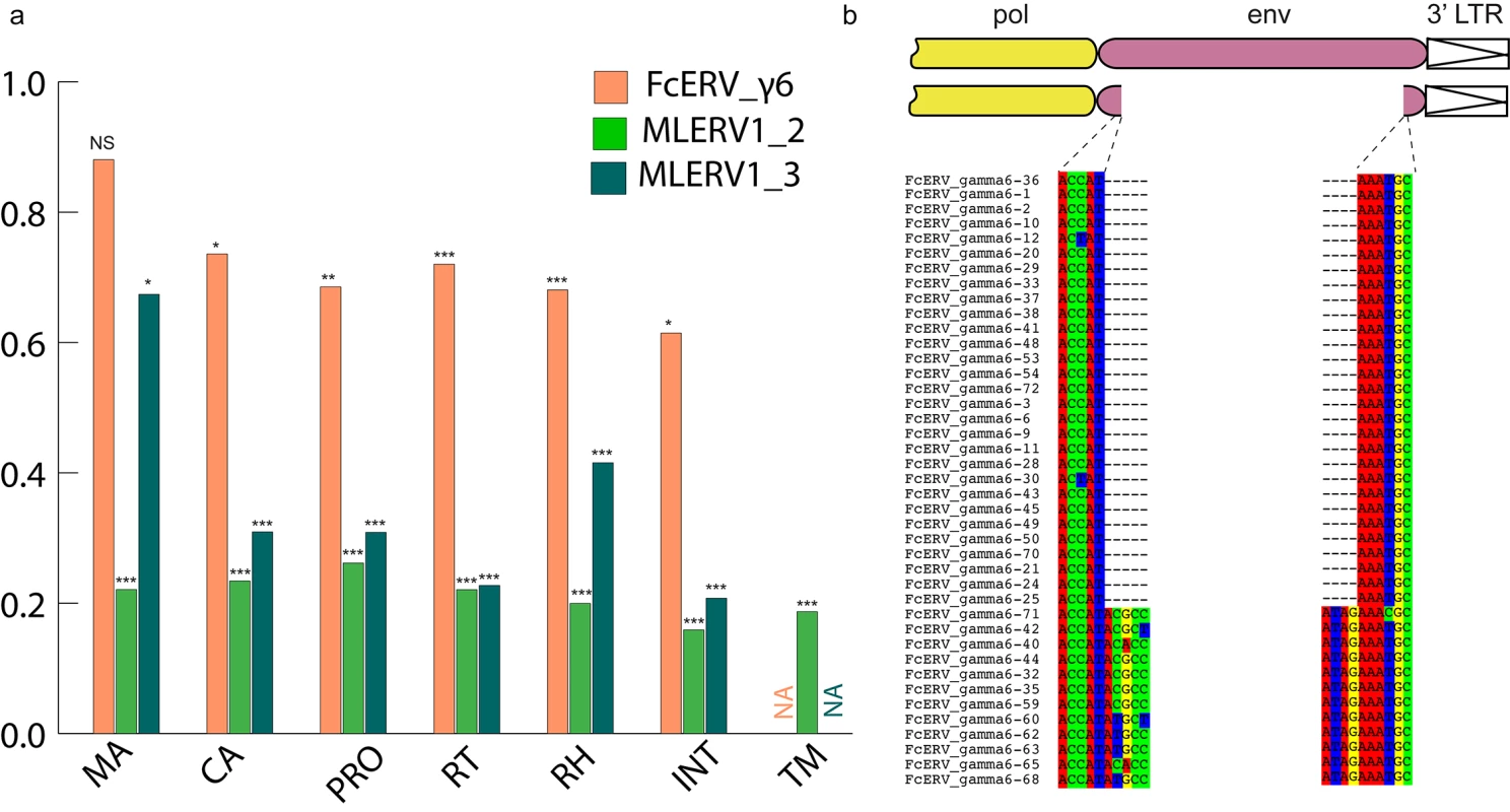 Selection analysis on coding domains.