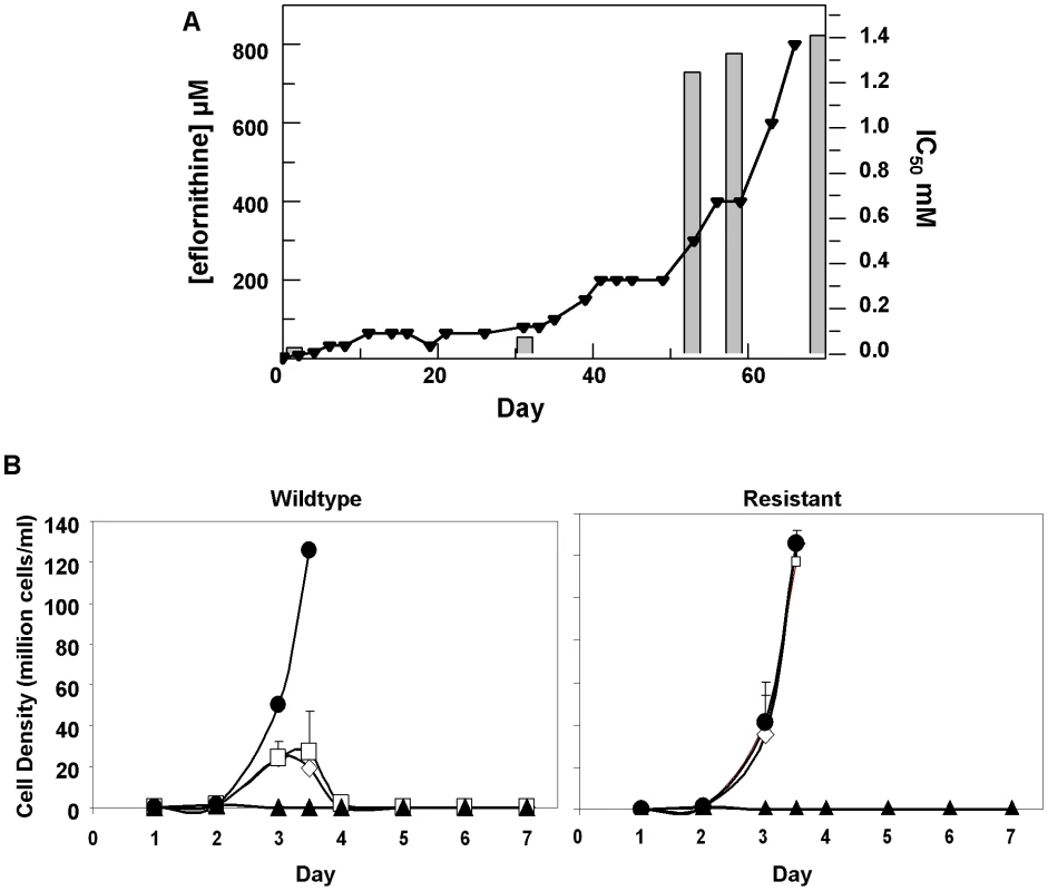 Resistance in <i>T. brucei brucei (A)</i>, Selection of eflornithine resistance in <i>Trypanosoma brucei</i>.