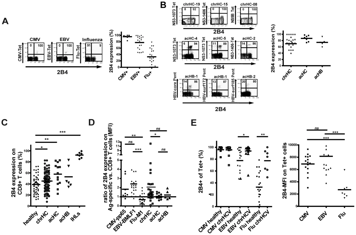 2B4 expression on virus-specific and bulk CD8+ T cells.