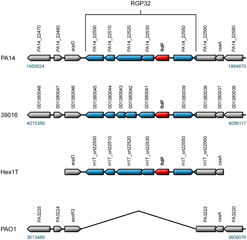 <i>fldP</i> is a component of the <i>P. aeruginosa</i> variable genome.