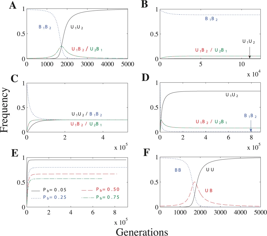 Recombination and no mating types scenarios.