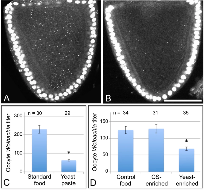 Host diet significantly impacts <i>Wolbachia</i> titer in <i>Drosophila</i> oogenesis.