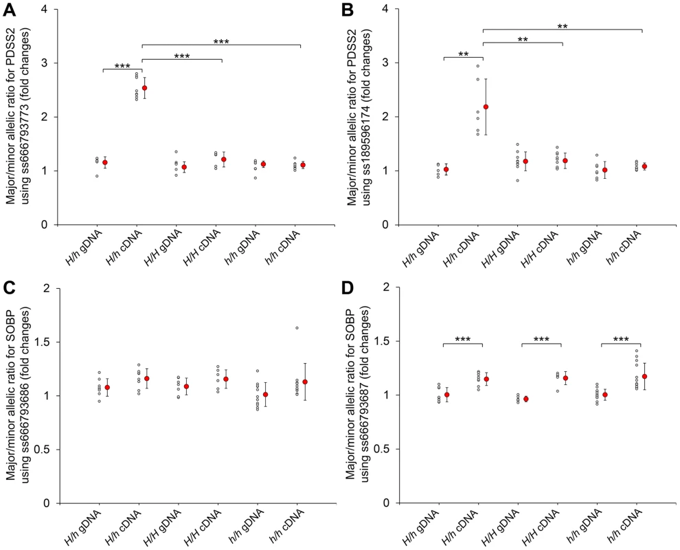 Allelic expression imbalance of <i>PDSS2</i> and <i>SOBP</i> in skin.