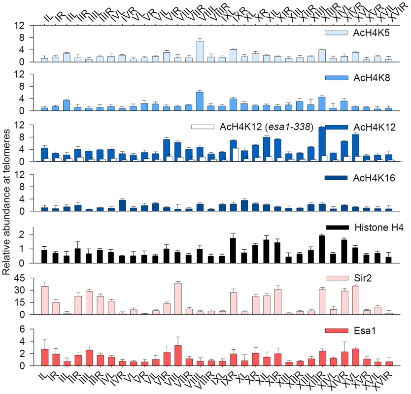 Acetylation of H4K12 at native telomeric heterochromatin.
