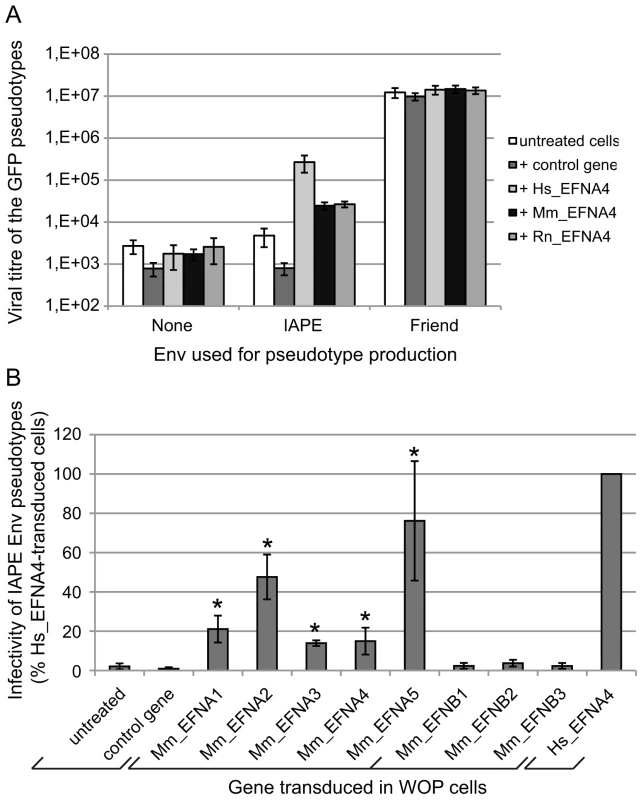 Characterisation of several Ephrin A proteins as receptors for the IAPE Env protein.