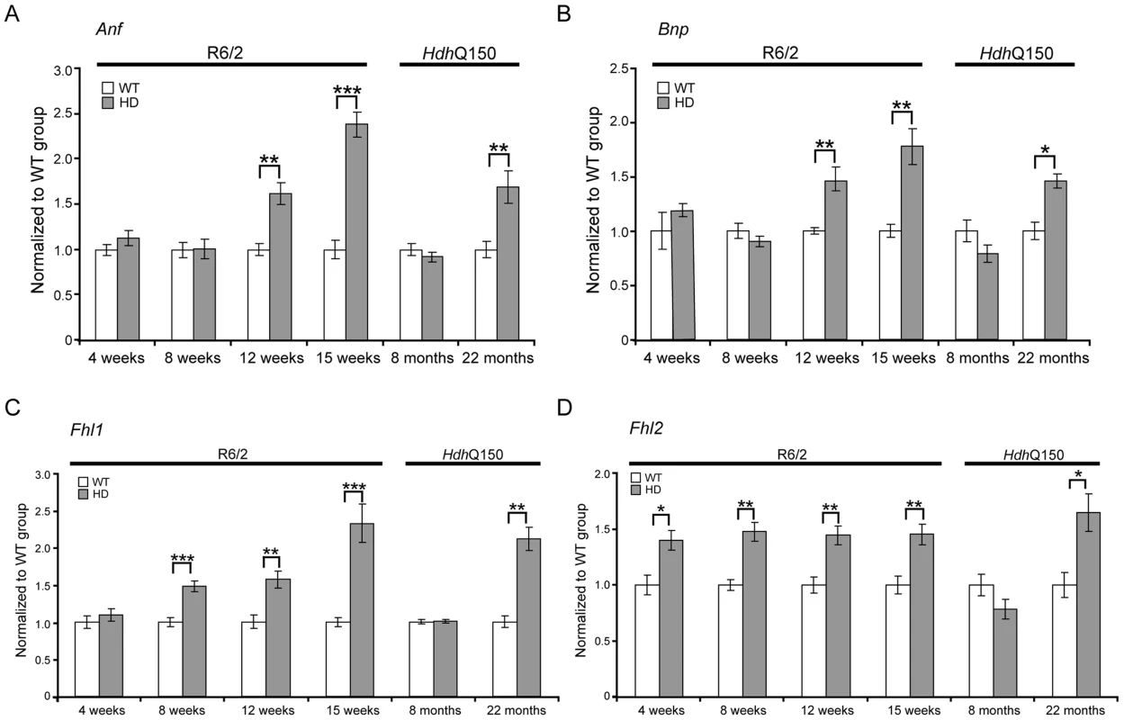 Activation of foetal gene markers in the hearts of R6/2 and <i>Hdh</i>Q150 mice.