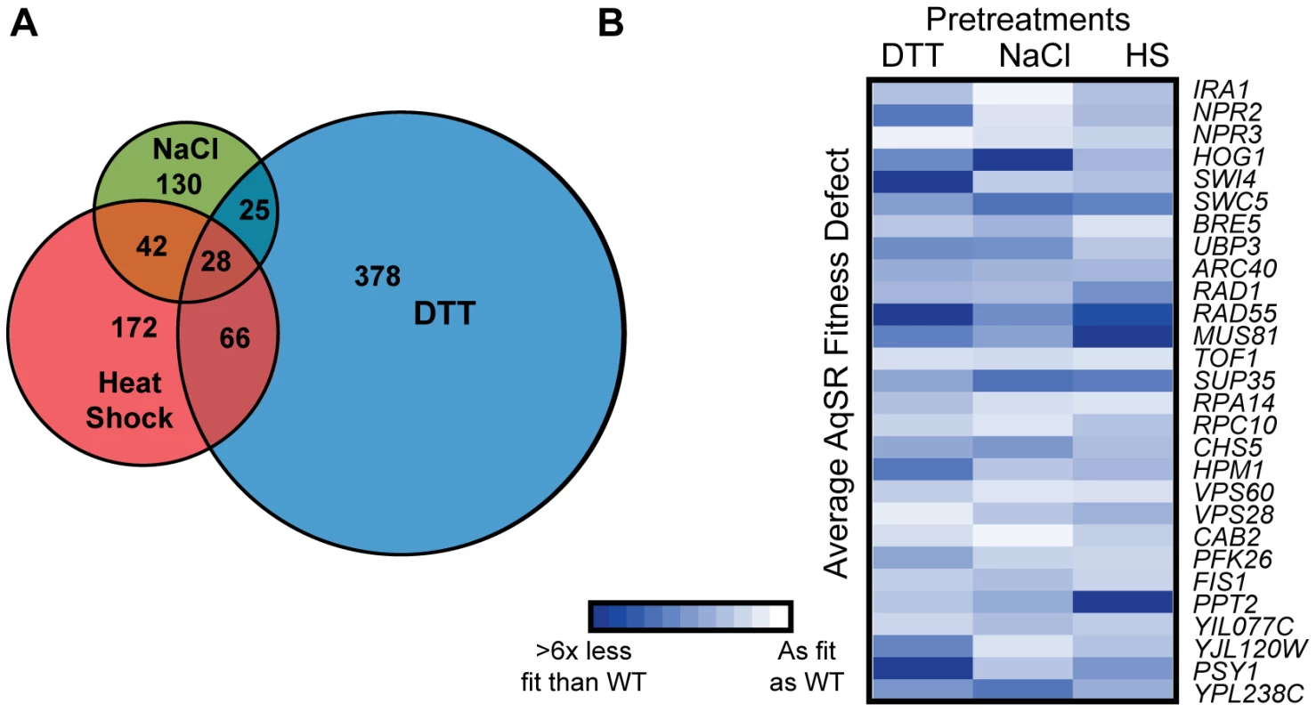 Genes important for acquired H<sub>2</sub>O<sub>2</sub> resistance after each pretreatment.