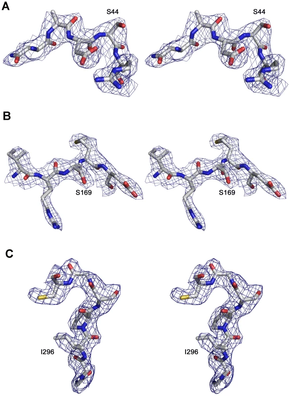 FMDV 3D residues around the substituted sites.