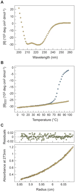 Engineered mutations enhance the interactions of two hydrophobic heptad-repeat (HRN and HRC) regions in NiV and HPIV3 F.