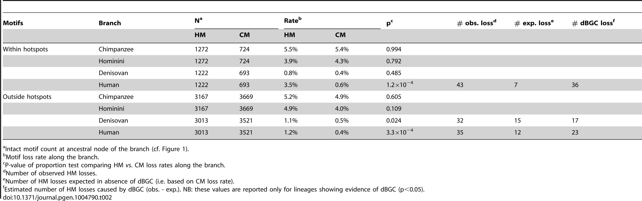 Motifs loss rates within and outside modern human recombination hotspots (HapMap).