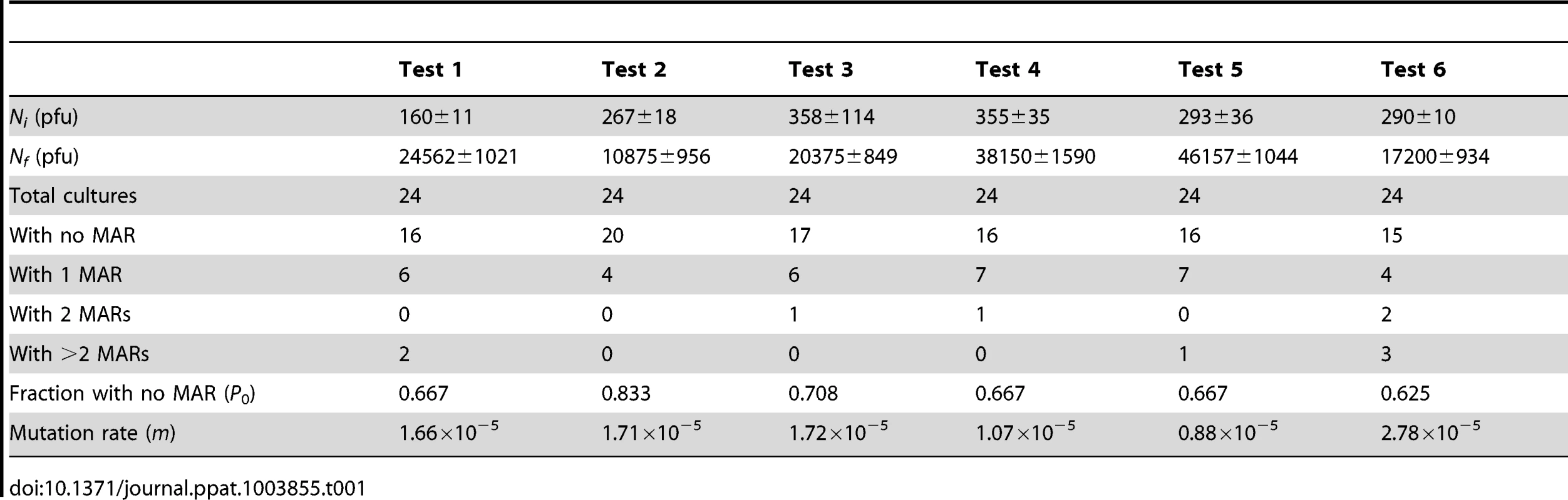 Fluctuation tests of VSV in BHK-21 cells.