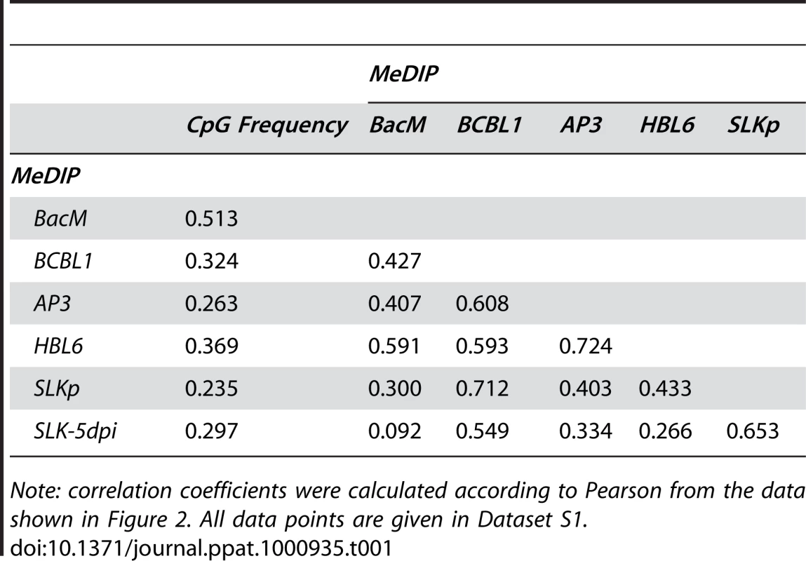 Pearson correlation coefficients of DNA methylation patterns.
