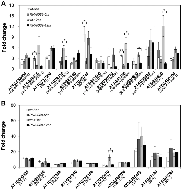 Up-regulation of NAC089D-MYC-regulated genes by ER stress is impaired in the <i>NAC089</i> RNAi plants.