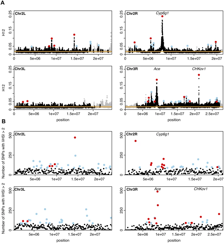 H12 and <i>iHS</i> scan in DGRP data along the four autosomal arms.