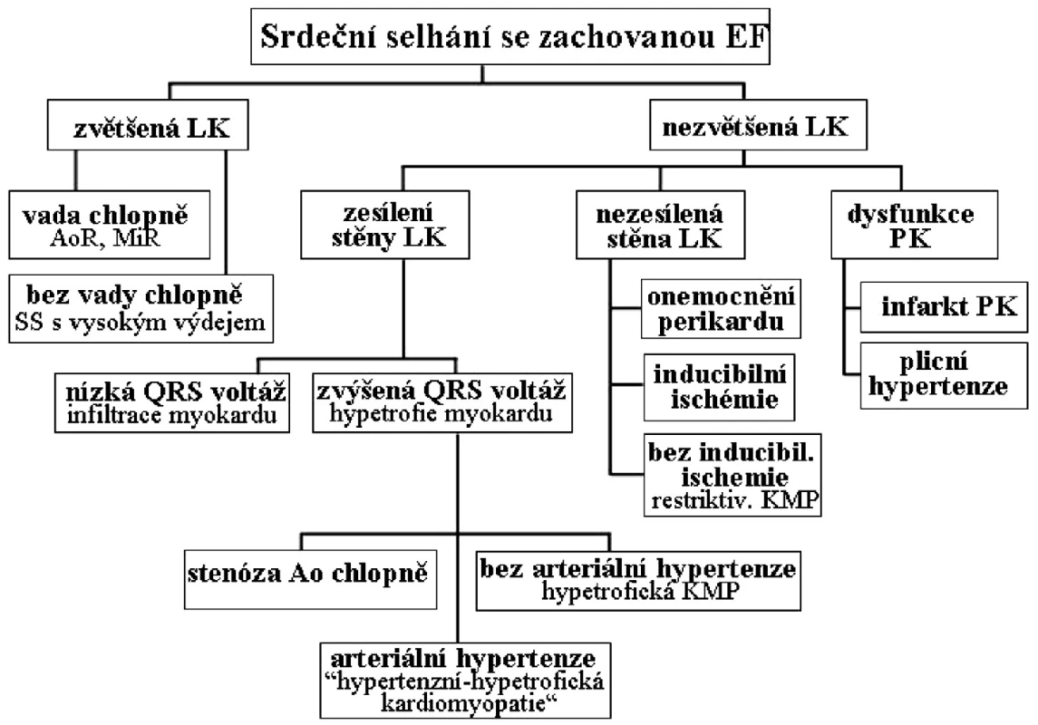 Diferenciální diagnóza srdečního selhání se zachovanou ejekční frakcí.
