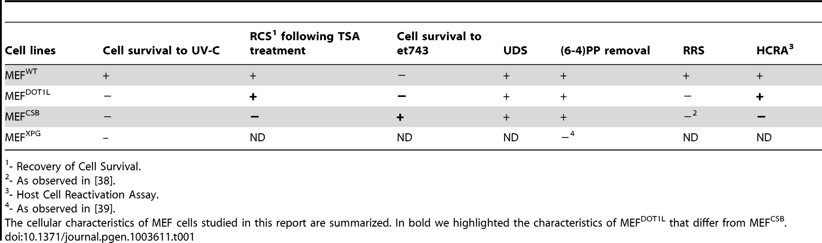 Cellular characteristics of MEF cells.