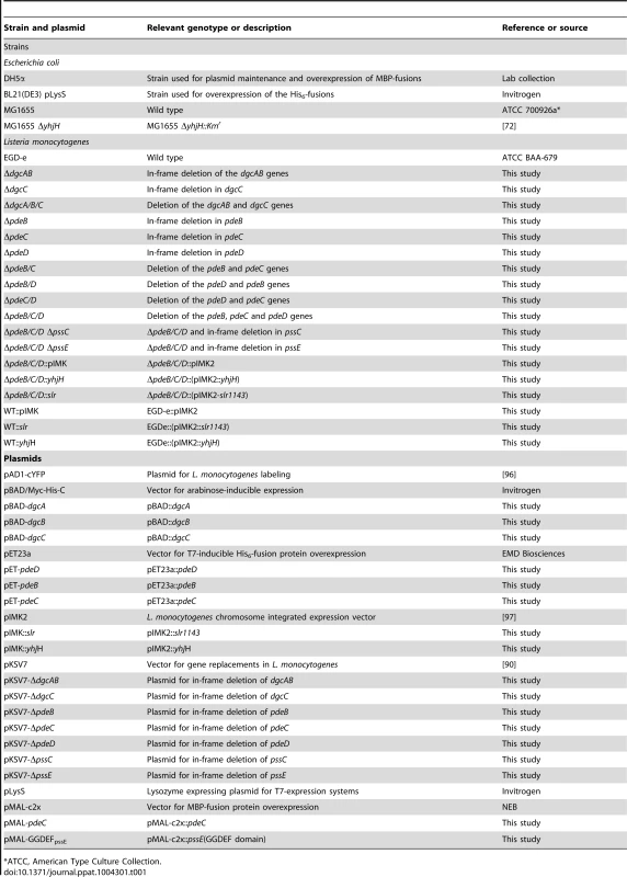 Strains and plasmids used in this study.