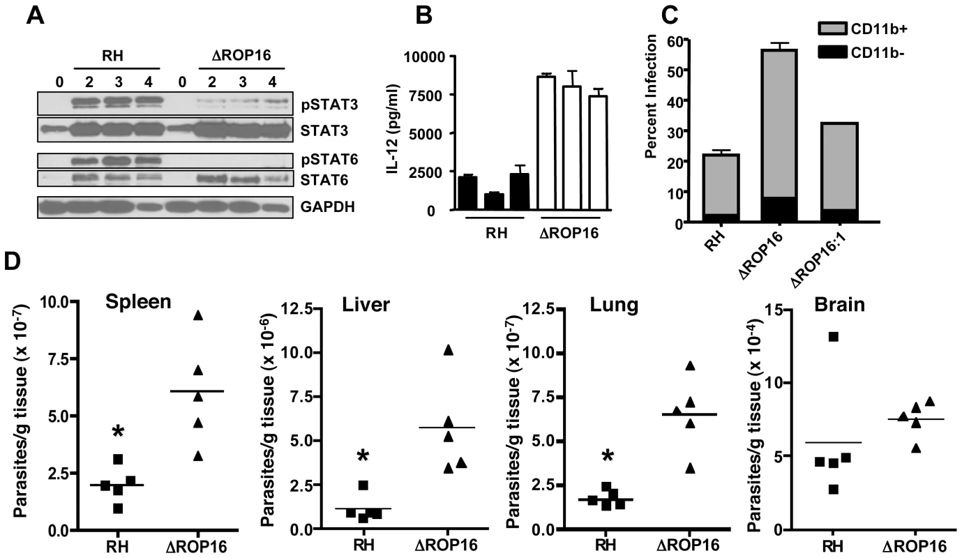 Effects of ROP16 on cytokine production and parasite replication during in vivo infection.