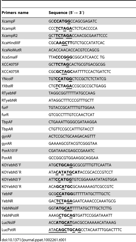 Oligonucleotide primers used in this study.
