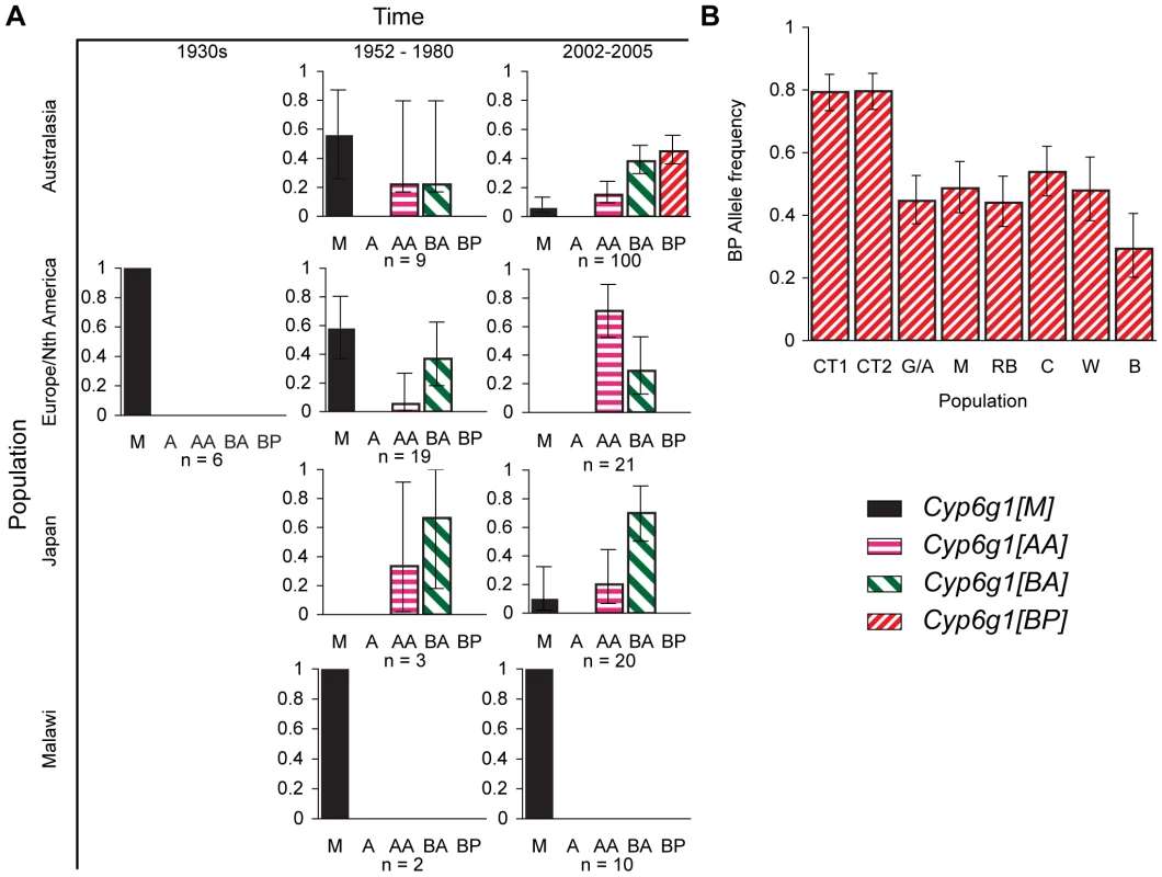 Temporal and geographic changes in <i>Cyp6g1</i> allele frequencies.