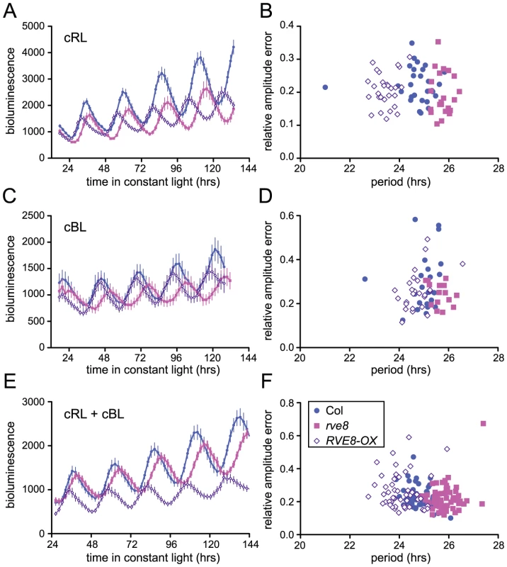 Perturbation of <i>RVE8</i> expression changes free-running period.