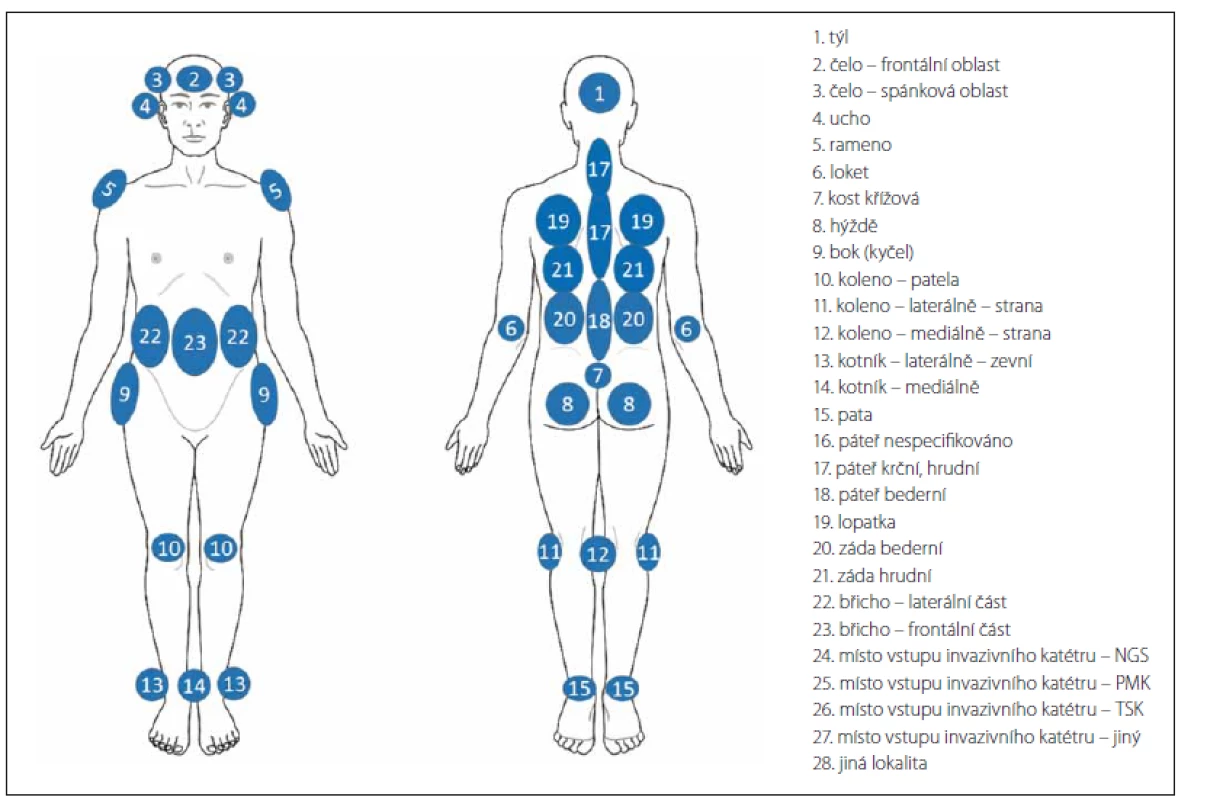 Predilekční lokality vzniku dekubitů.<br>
Fig. 5. Predilection sites of Pressure ulcers.