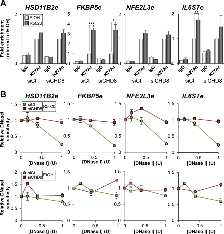CHD8 involvement in modification of enhancer chromatin.