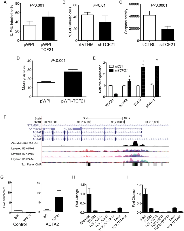 <i>TCF21</i> regulates basic cellular functions in vascular smooth muscle cells <i>in vitro</i>.