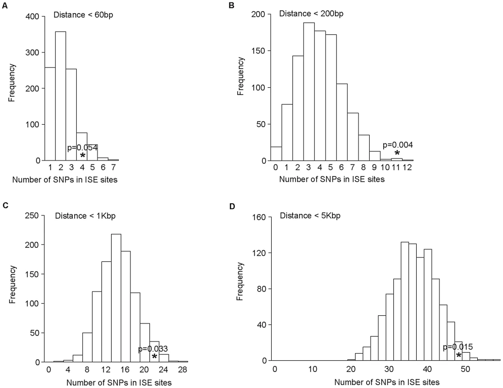 No Difference in Enrichment of Human Complex Trait-Associated SNPs among ISE SNPs Classified According to Physical Distance from the Associated Alternatively Skipped Exon's Splice Site Junction.